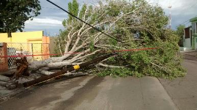Deja tormenta acumulamiento de 51 milímetros de agua en el norte de la ciudad