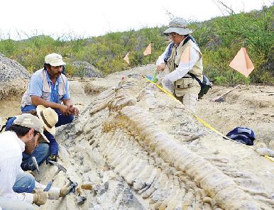 Son 32 los sitios en el país que tienen huellas de dinosaurios: Felisa Aguilar