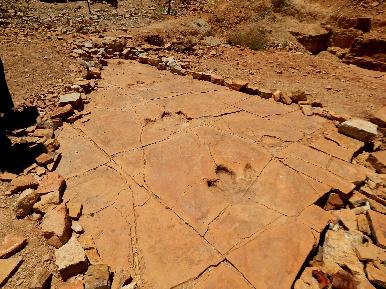 La riqueza de yacimientos fósiles de Sonora