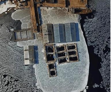 Leonardo DiCaprio expone a Rusia por cárcel de ballenas