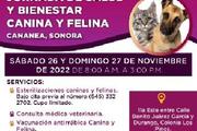 Invita Salud Sonora a vacunar mascotas para que Sonora siga libre de rabia humana