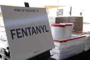 EE.UU. presiona a México para que dedique más recursos en la lucha contra el fentanilo