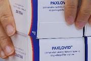 Cofepris autoriza uso de emergencia de Paxlovid, tratamiento oral para COVID-19
