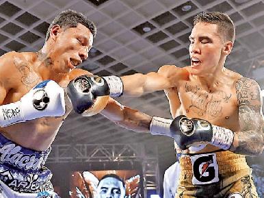 Nuevo monarca; Valdez noque贸 a Berchelt