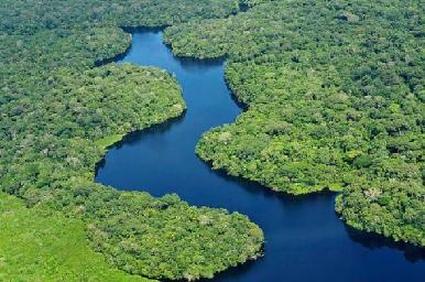 Lacandones buscan diálogo con Segob para frenar destrucción de Selva Lacandona