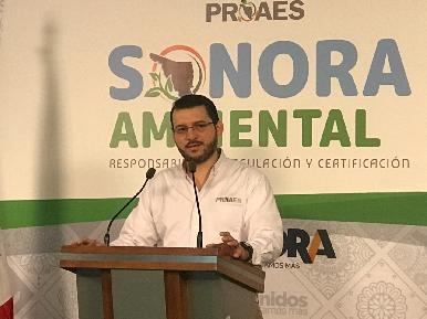 Se unen Proaes y organizaciones ambientalistas en jornada de reforestación en