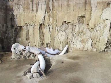 De cultura teotihuacana, vestigios hallados en Santa Luc铆a: INAH