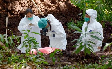 En cinco meses se han localizado 222 fosas clandestinas con 337 cuerpos