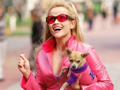 Confirman 'Legalmente rubia 3' con Reese Witherspoon en su ic贸nico papel