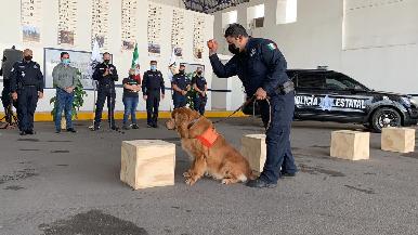Con honores se jubilan oficiales caninos de la Polic铆a Estatal