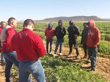 Incrementa secretaría del Trabajo inspecciones a campos agrícolas