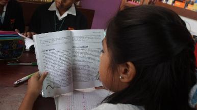 35% de estudiantes mexicanos, sin competencia básica para lectura, matemáticas y ciencias