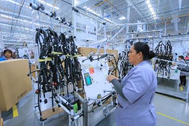 Empresas mexicanas ofertan casi 64 mil vacantes laborales para migrantes repatriados por Trump