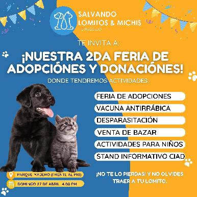 ¡Gran Feria de Adopciones – Especial Día del Niño!