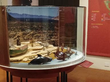 El noroeste de México, 20 años de etnografía del INAH abrió al público en el Museo Regional de Sonora