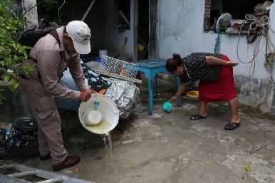 IMSS llama a mantener acciones contra el dengue